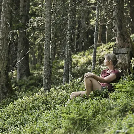 Hochalmbahnen Chalets 9W2, Kiefer, Nahe Gondel شقة *