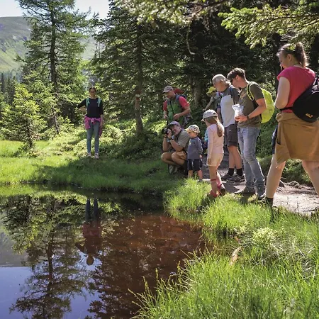 Hochalmbahnen Chalets 9W2, Kiefer, Nahe Gondel