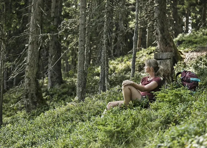 Hochalmbahnen Chalets 9W2, Kiefer, Nahe Gondel شقة *