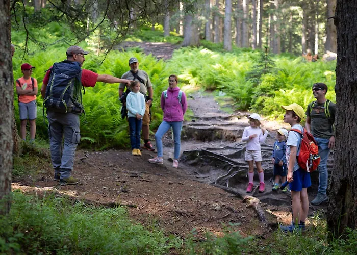 Hochalmbahnen Chalets 9W2, Kiefer, Nahe Gondel راوريس