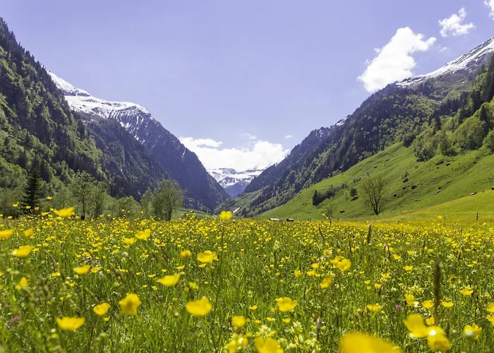 Hochalmbahnen Chalets 9W2, Kiefer, Nahe Gondel